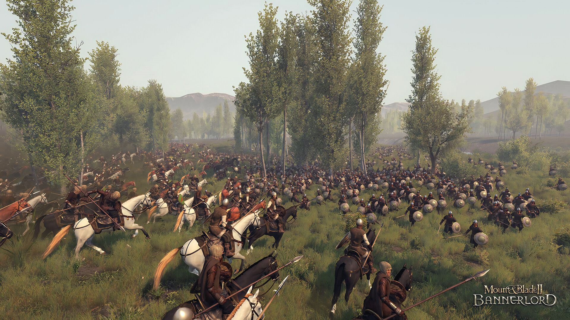 TEST - Mount and Blade II:<br>Bannerlord
