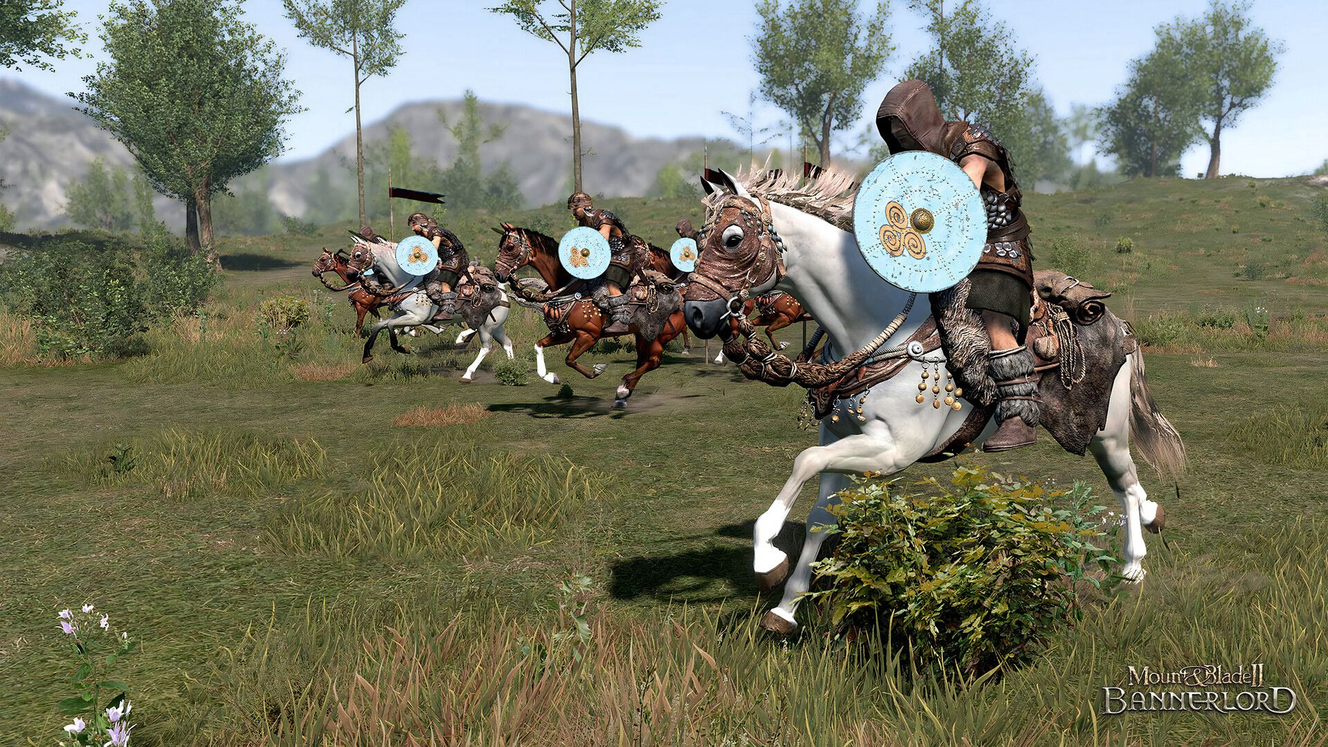 TEST - Mount and Blade II:<br>Bannerlord