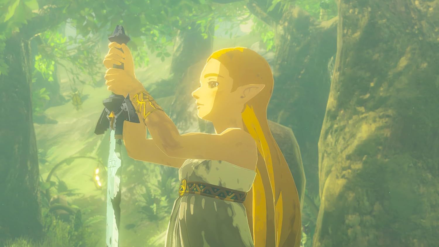 TEST : The Legend of Zelda<BR>Breath of the Wild Switch 2 Edition