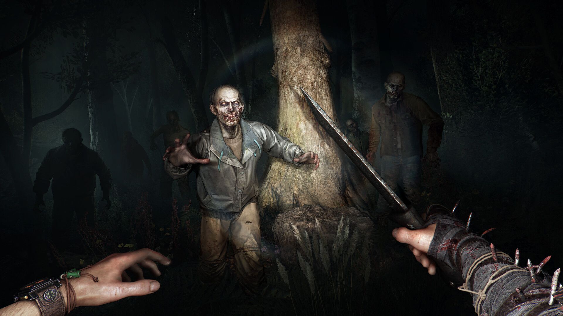Illustration de l'article sur TEST : Dying Light: The Beast