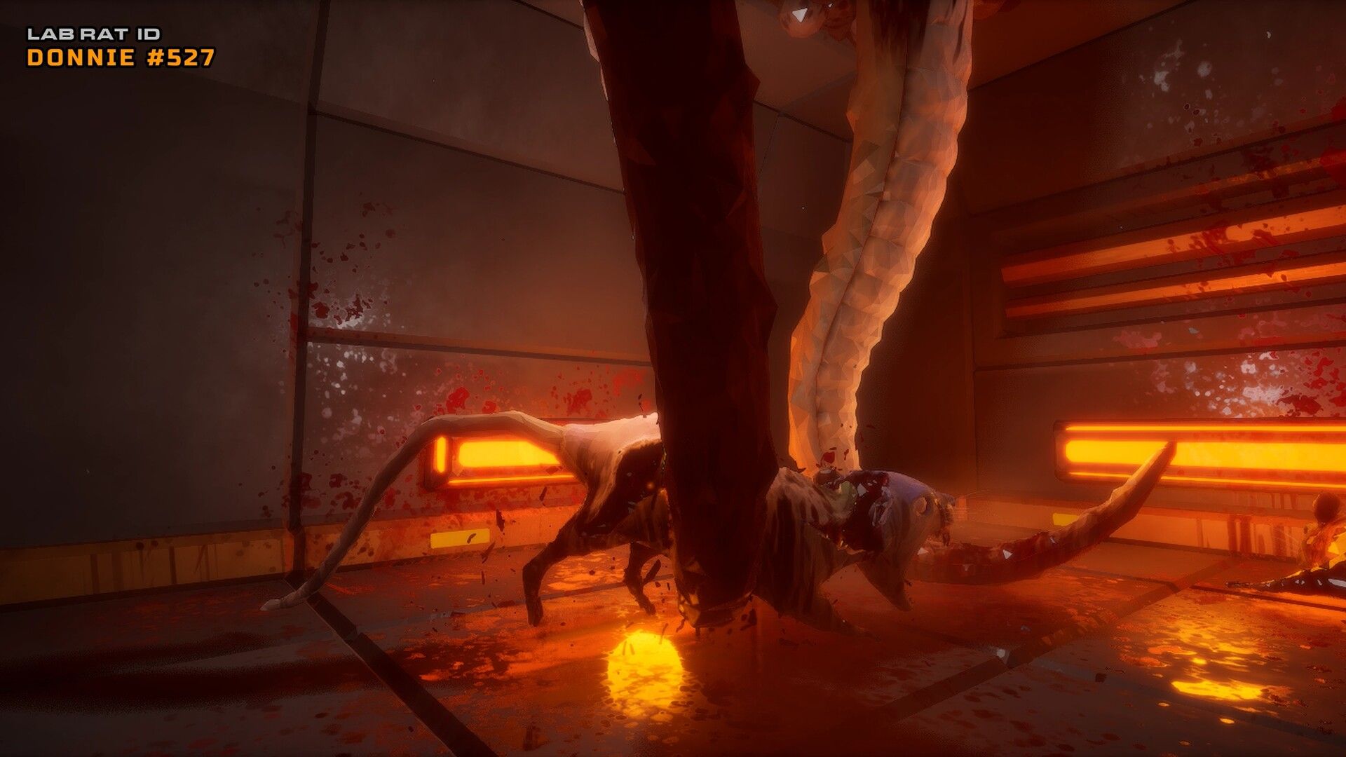 Illustration de l'article sur TEST :  Cyber Rats 