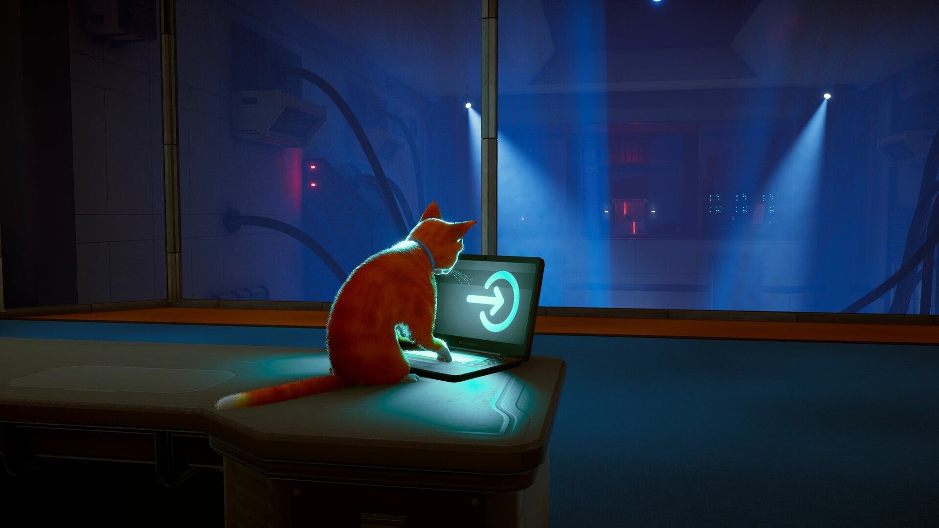 TEST: Schrodinger�s Cat Burglar