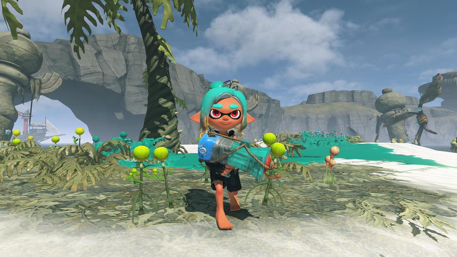TEST : Splatoon Raiders