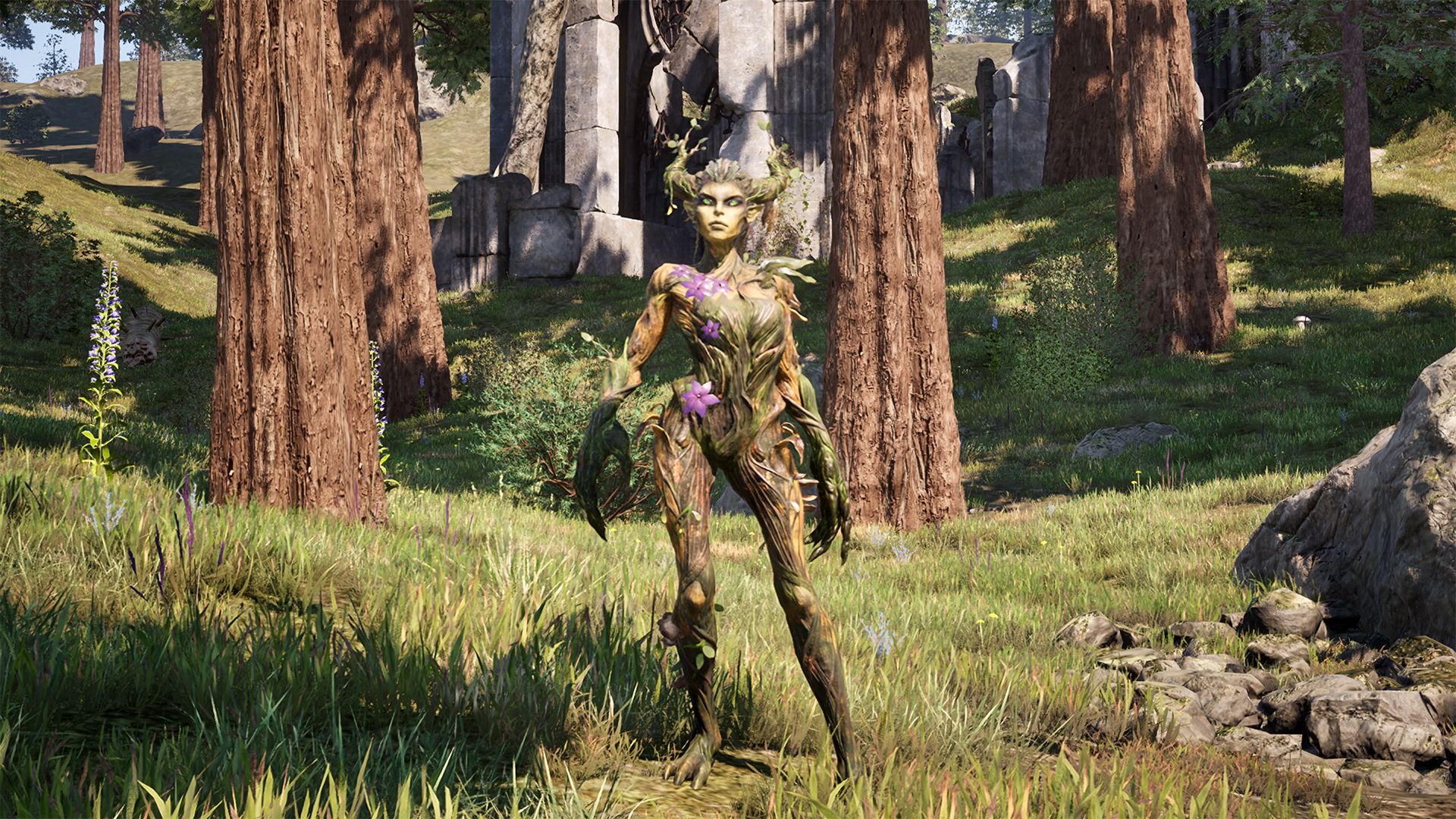 Illustration de l'article sur TEST : The Elder Scrolls IV: Oblivion Remastered Nintendo Switch 2