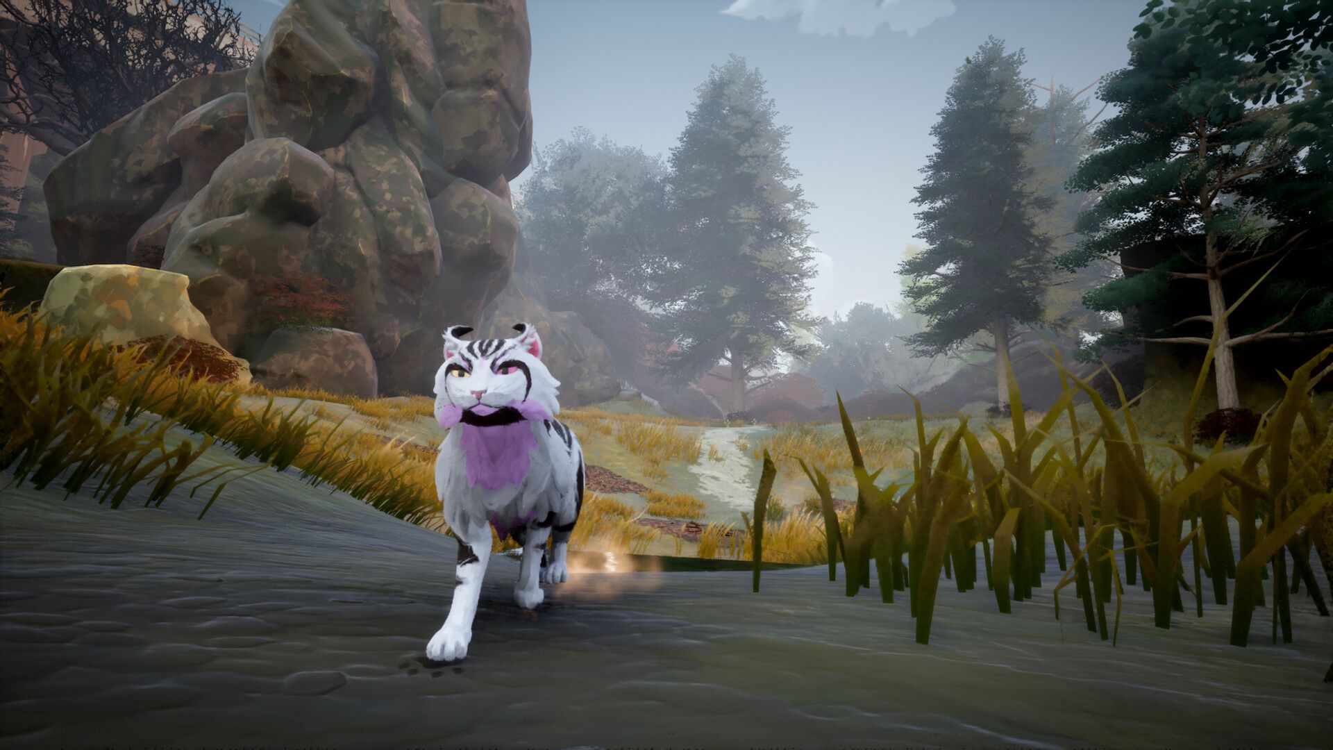 TEST : La Guerre des Clans :<BR> Les Clans de la For�t