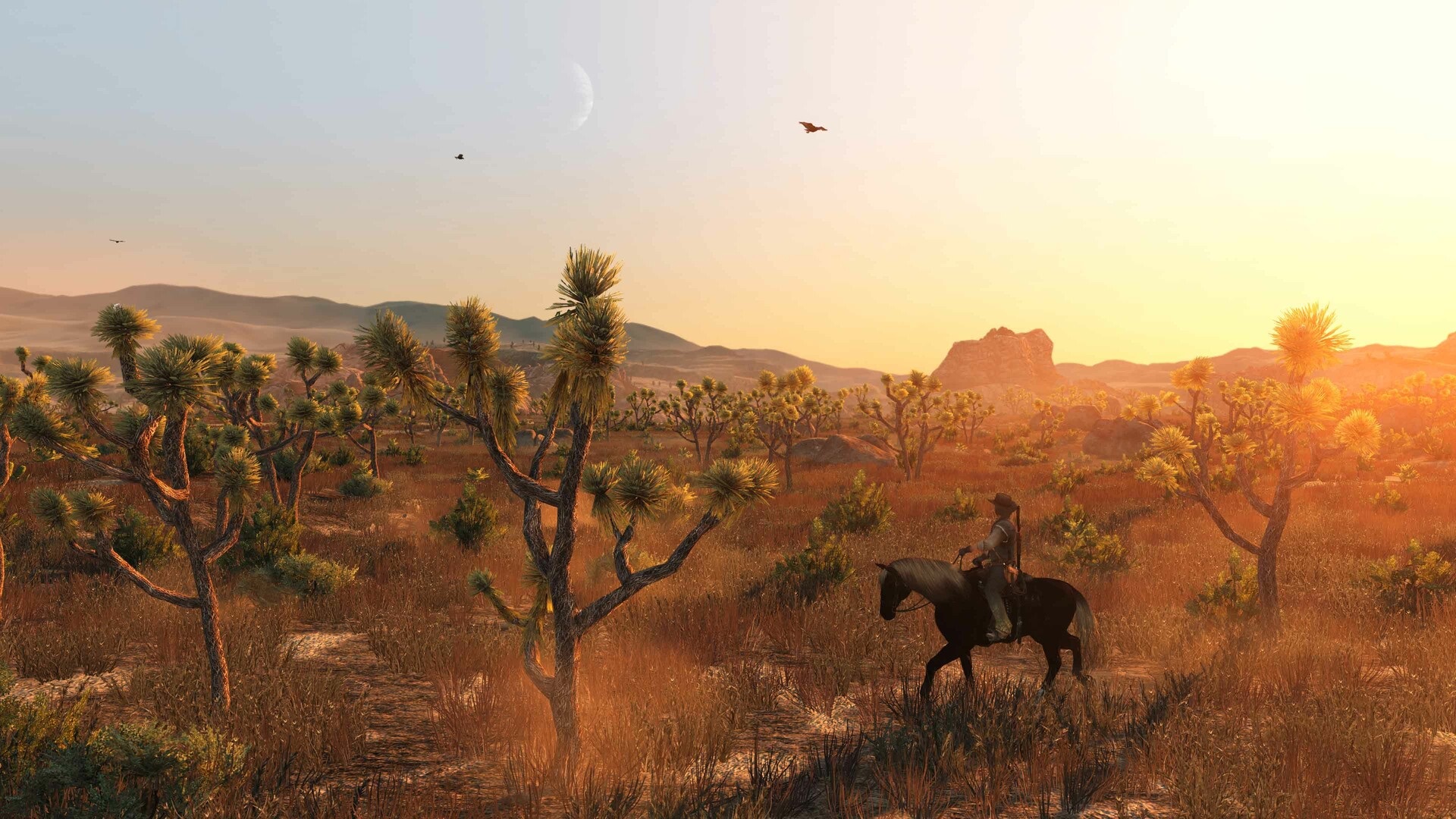 RDR1-PC-0004.jpg